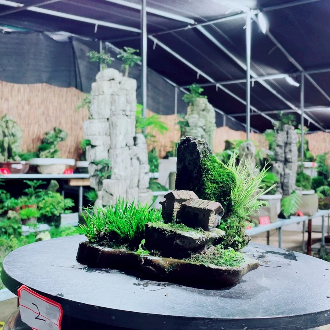 老***徒无花朵新品上架哦小丁和你