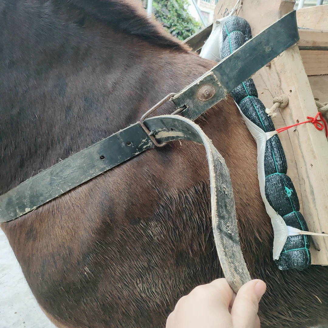 骡马潘胸前潘带马前丘橡胶皮带耐磨耐用