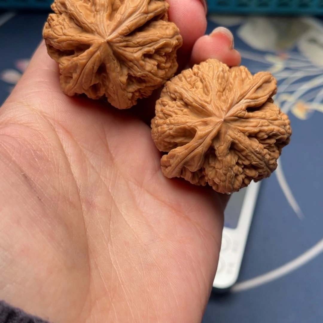 文玩核桃把件粗筋43