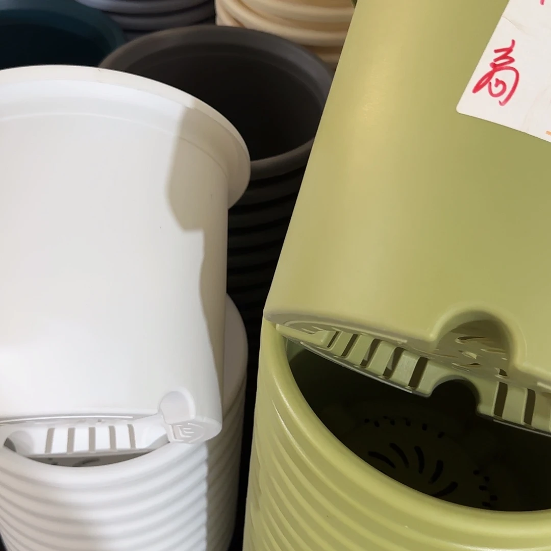 微瑕6号无托7个，果绿