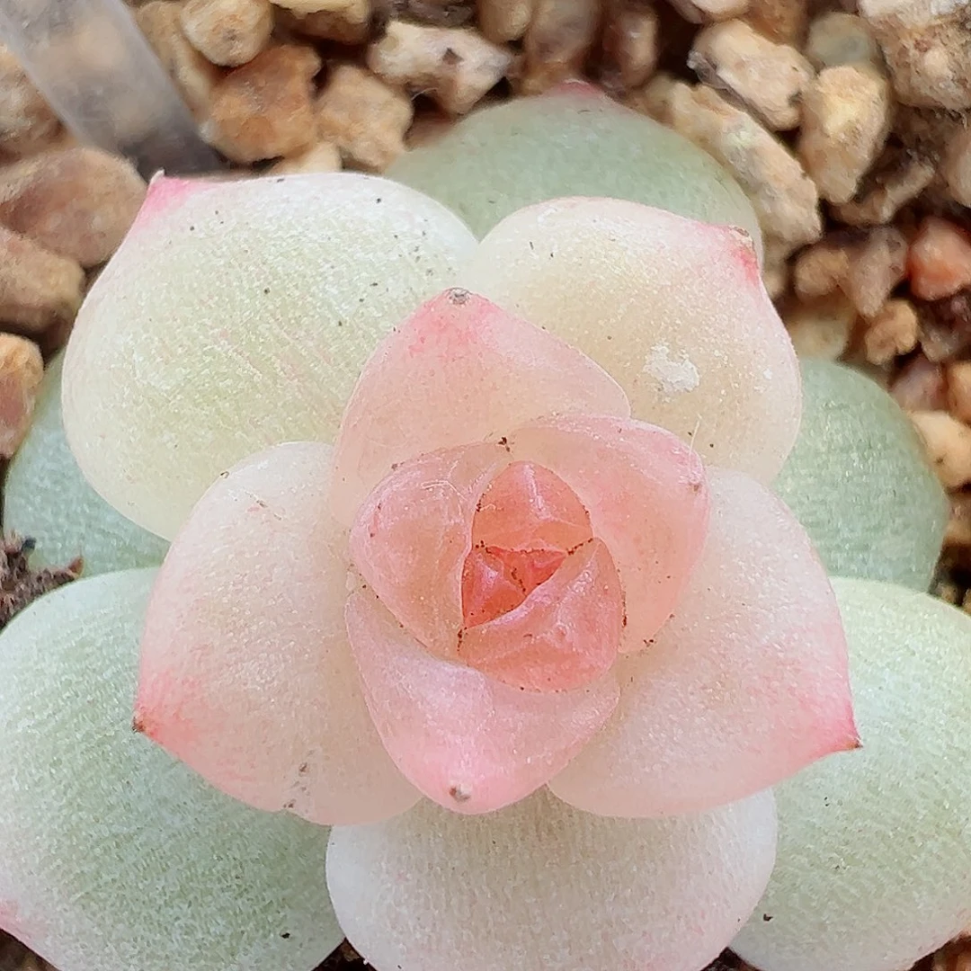 829哈哈哈哈哈哈哈哈