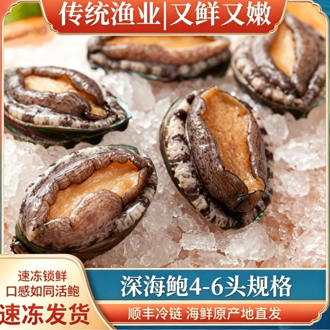 4-6头鲍鱼生鲜海鲜新鲜冷冻7-8cm左右东山岛深海冷链速冻鲍鱼a