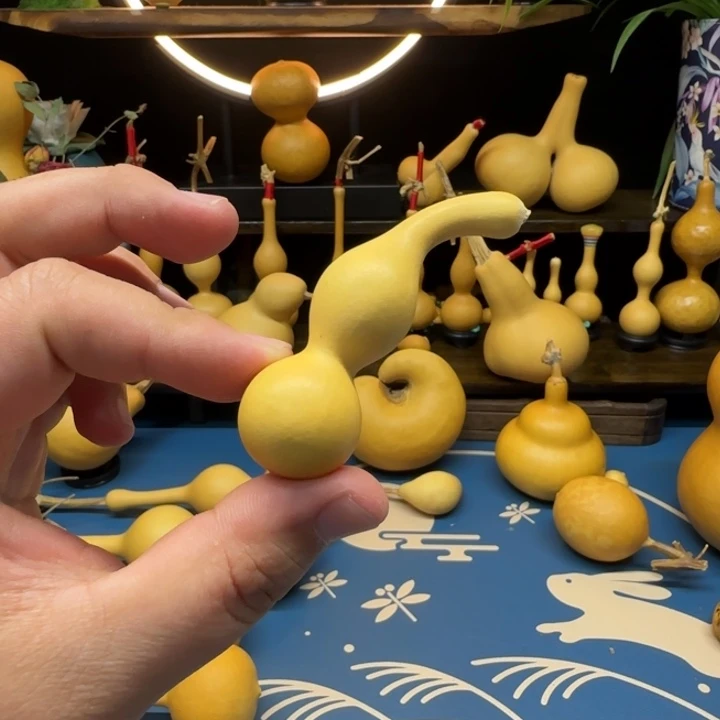 P*一物一图偏远地区不包邮