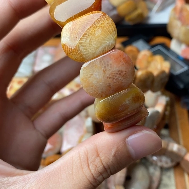 J***n颈饰未镶嵌硅化珊瑚（珊瑚玉）