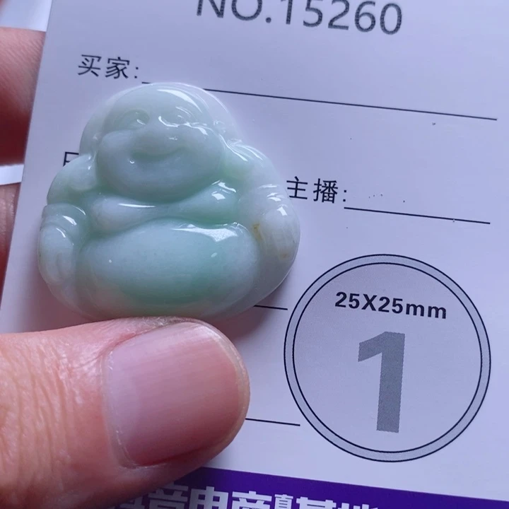 颈饰未镶嵌翡翠15260