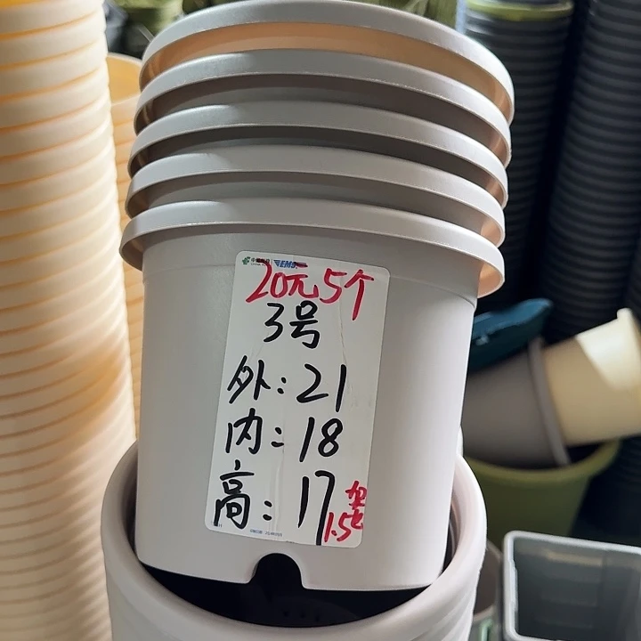 微瑕3#灰白10个无托