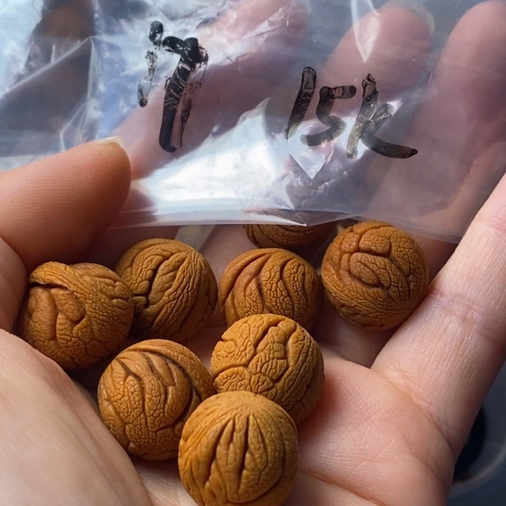 手串文玩核桃秦岭野生龙纹桃核17