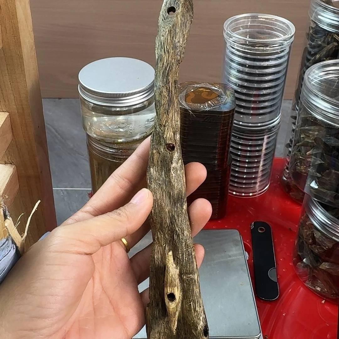 香料绿奇楠虫漏张勺子27克