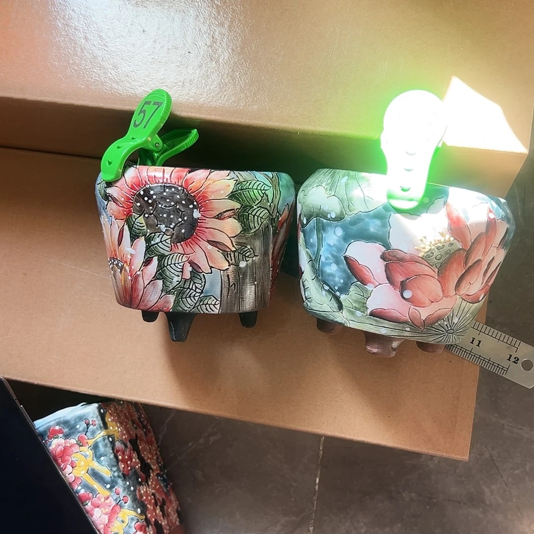 ****睦多肉植物花盆魔笛