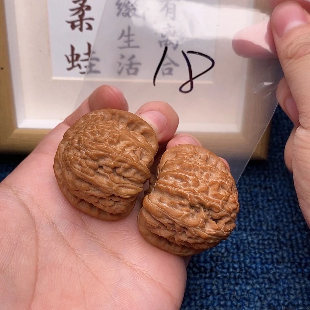 把件文玩核桃白狮子42尺全品，