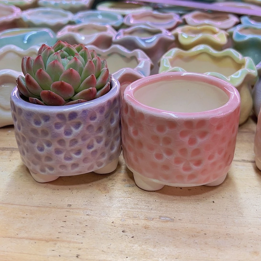 陶瓷花盆当场凑满12包邮