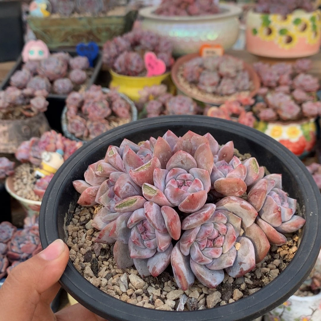 哈哈哈哈哈哈哈哈2