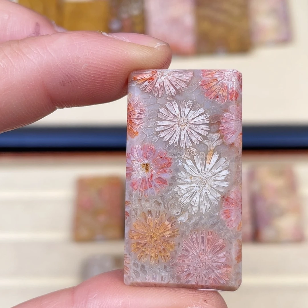 【闪购商品】未镶嵌吊坠(赠链)硅化玉时**梭