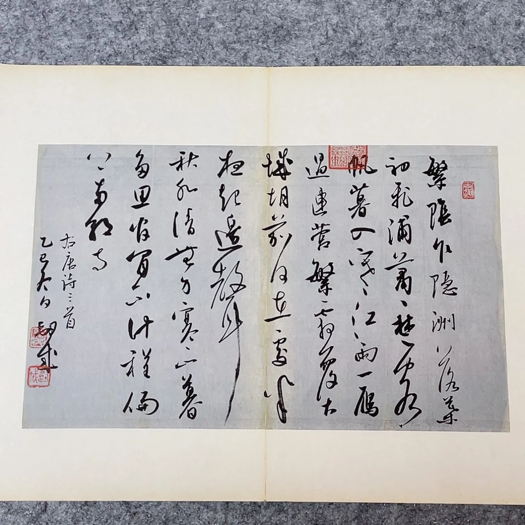 书法国展书家徐卫科45×34