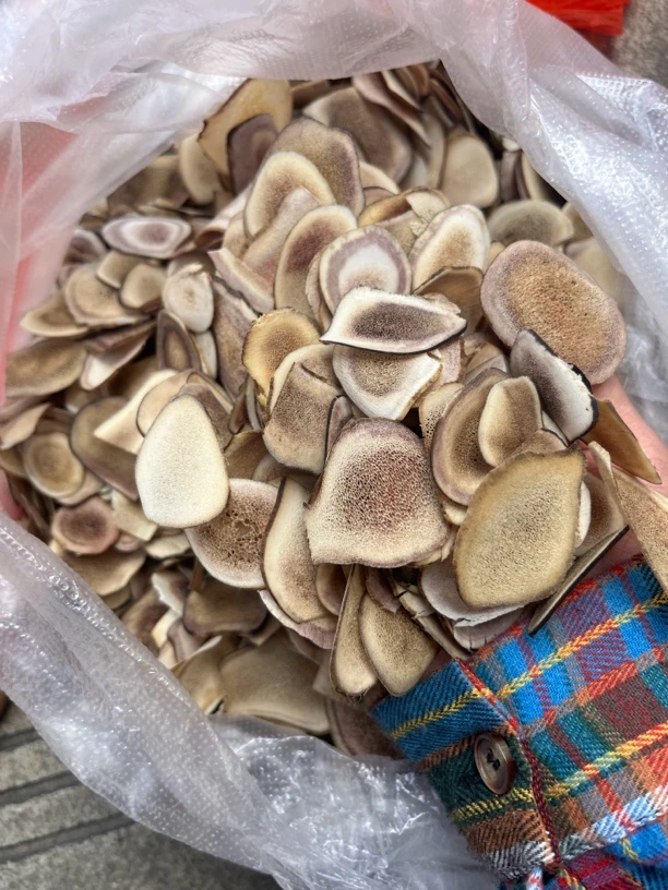 云南山货【鹿茸片】老陈甄选
