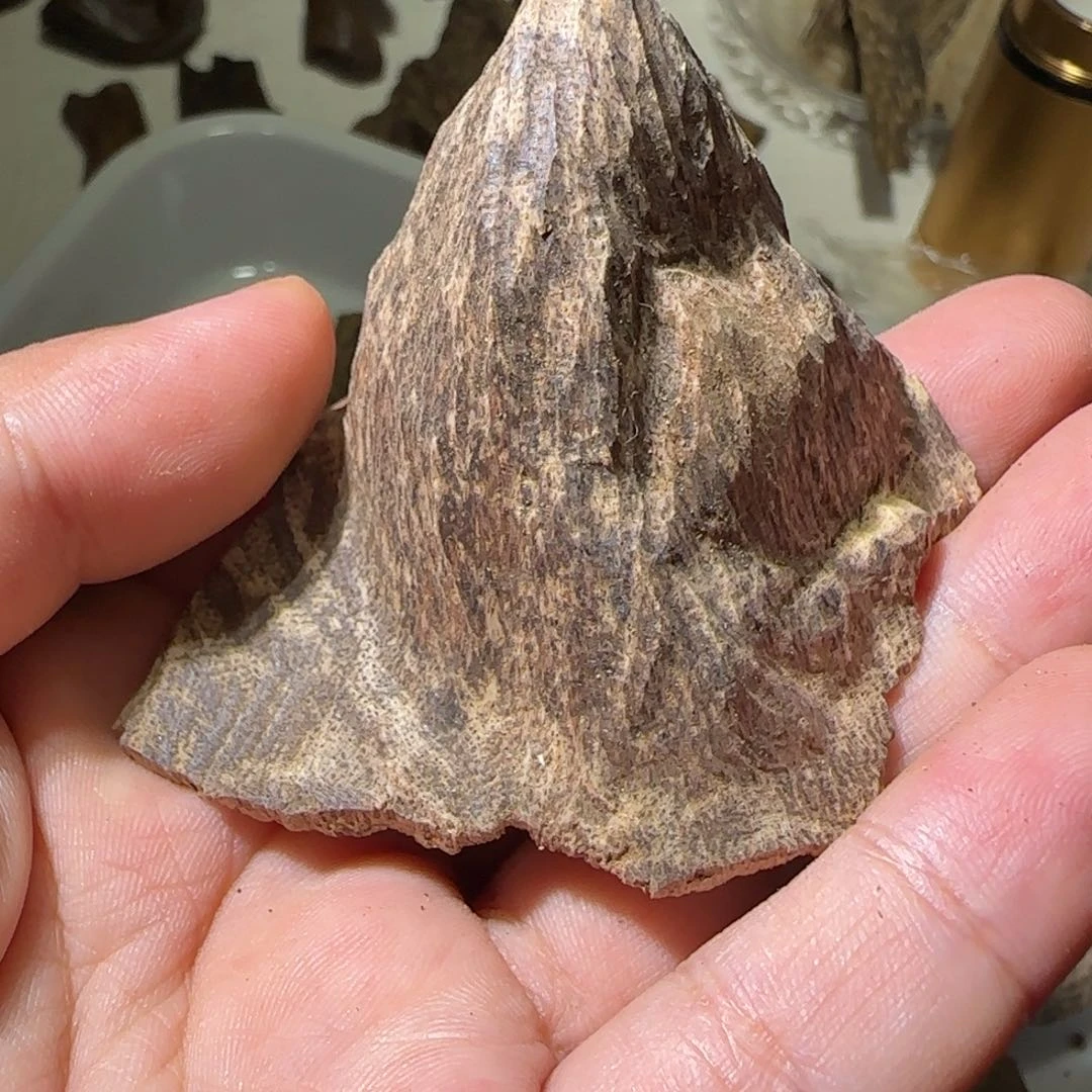 沉香碎屑沉香13.29克海南尖峰岭