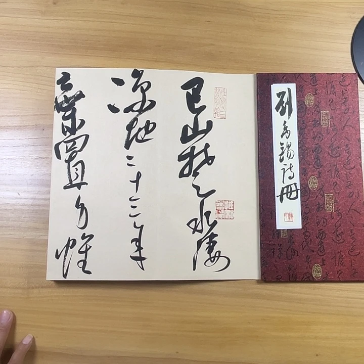 书法中书协老师书法作品