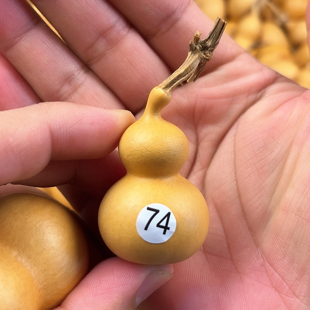 五葫芦葫芦葫芦葫芦74