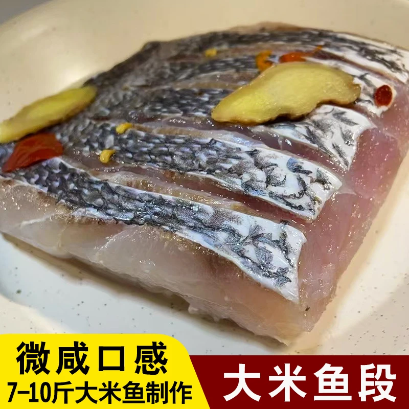 象山石浦爆腌米鱼段咸鱼清蒸下饭菜抱盐大米鱼薄盐抱盐米鱼段微咸