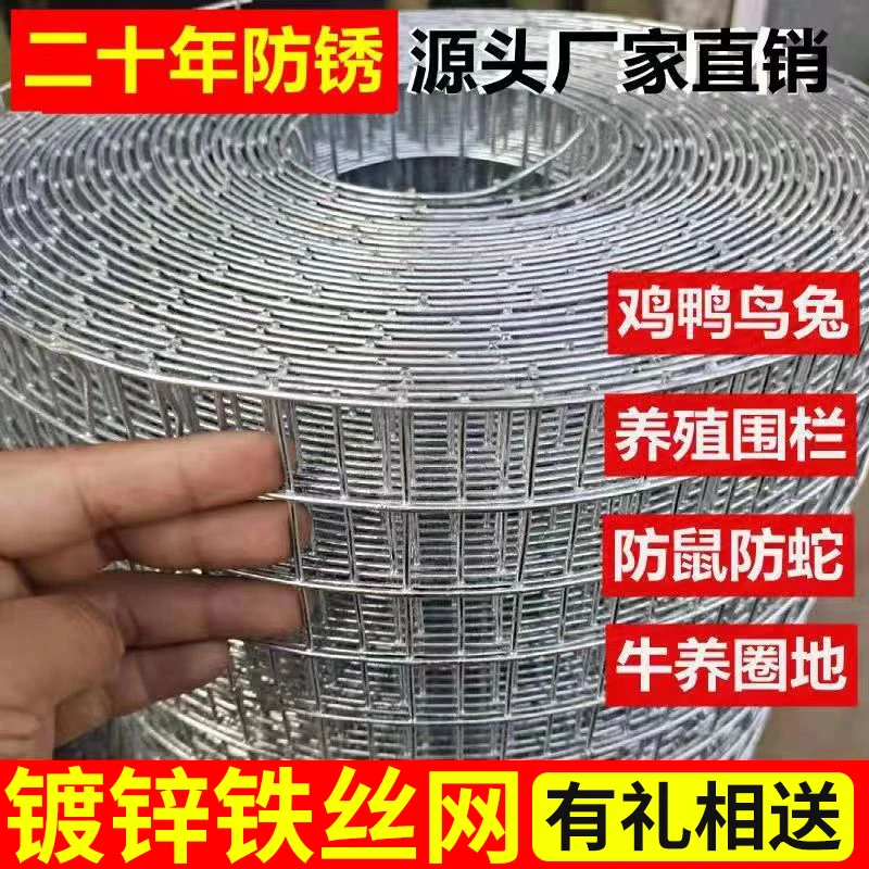 镀锌钢丝网防锈铁丝网鸡鸭养殖网防鼠网围栏防护圈地隔离网玉米网