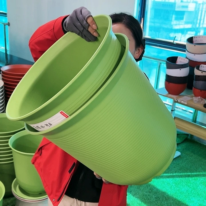 正品高陶口36高36果绿无托2只