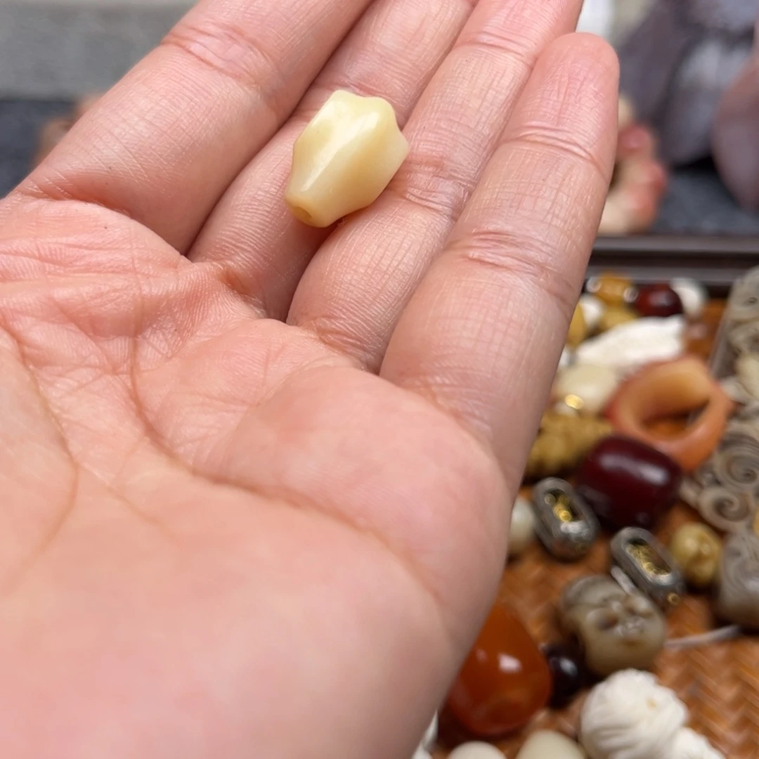 鹿骨其他人工养殖驼骨2