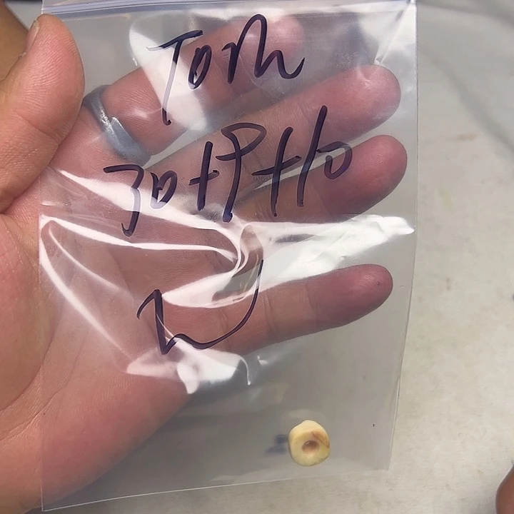 T***m香榧木藏地金刚菩提念珠Tom