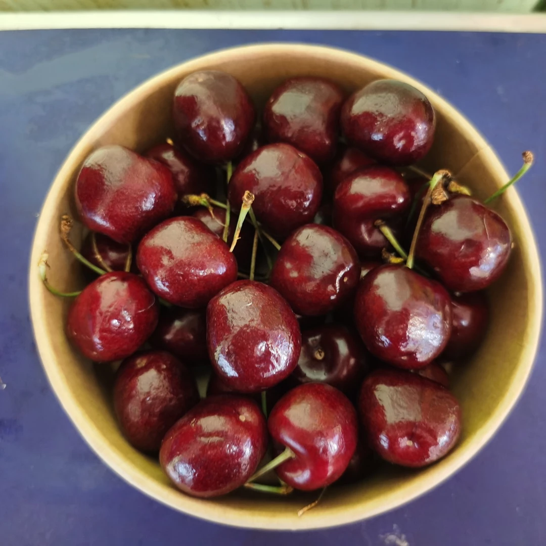 车厘子  纯甜无酸 J   300克桑提娜智利