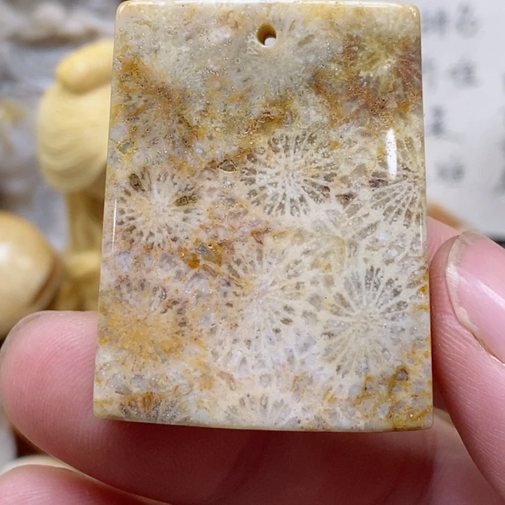 颈饰未镶嵌硅化珊瑚（珊瑚玉）有瑕