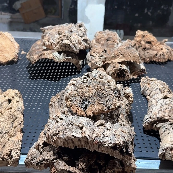 鱼***纹完全开放一物一拍一物一发