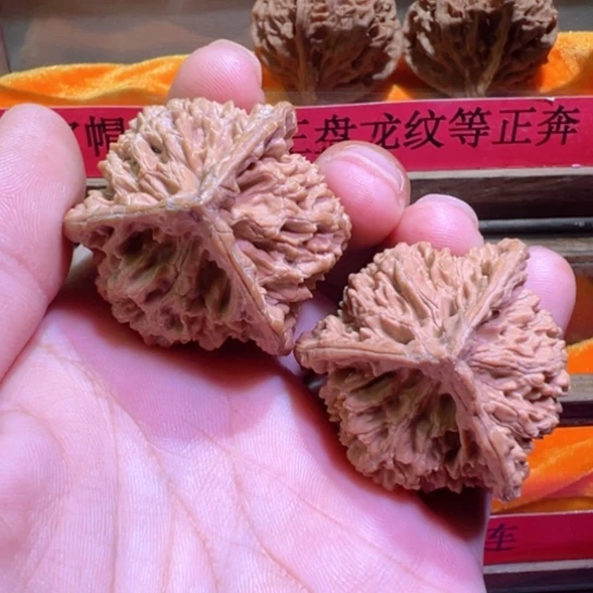 L****o嘎嘎正官帽正奔北京全品41边