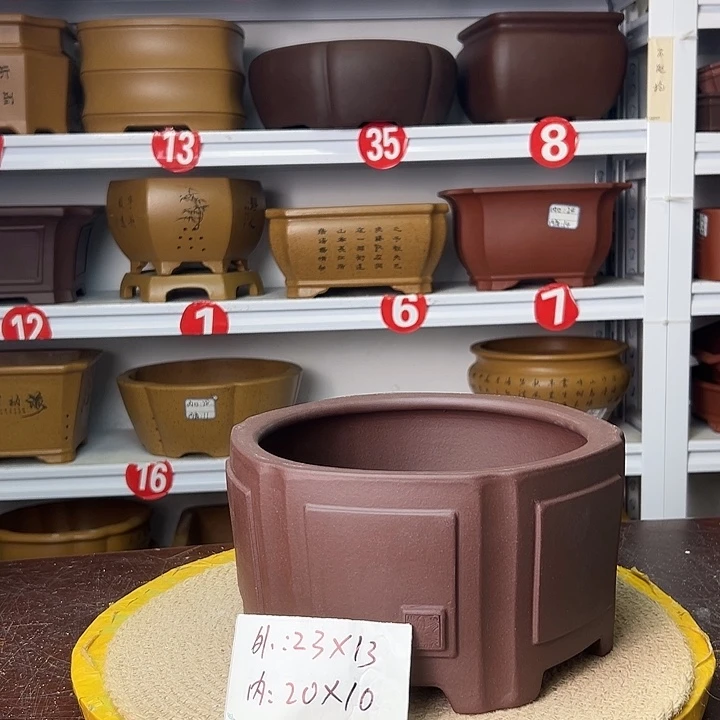 花盆紫砂蛇年大吉