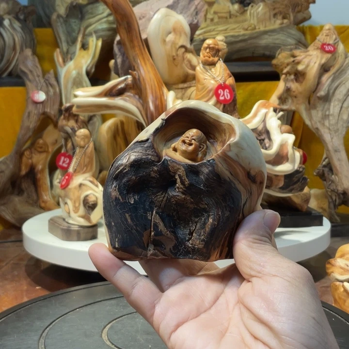 柏木（崖柏）我**良崖柏  弥勒