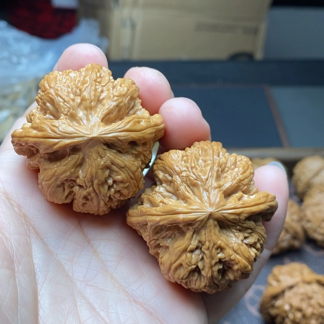 文玩核桃把件粗筋44