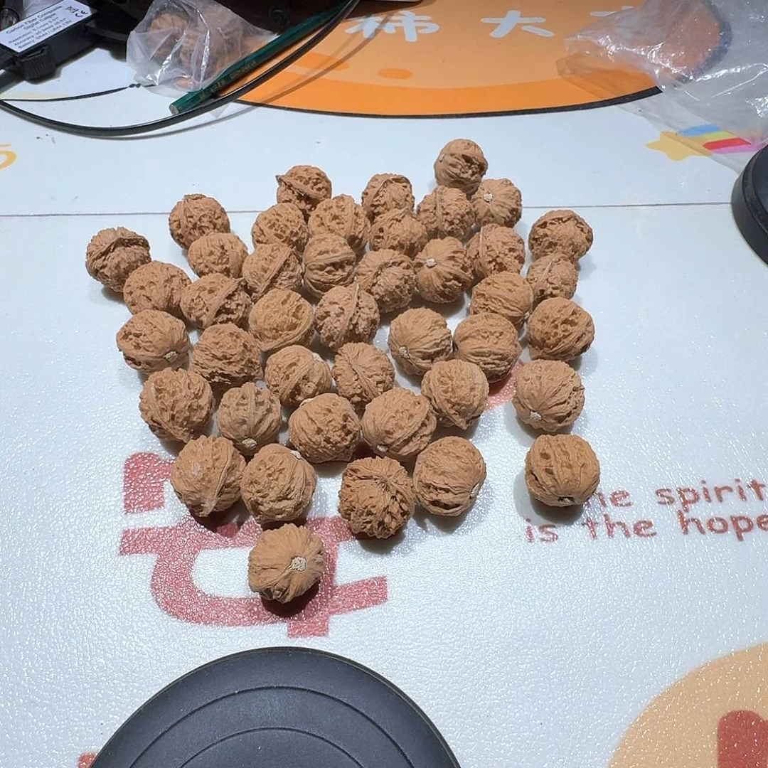 核桃手串/手链一堆15元不打孔