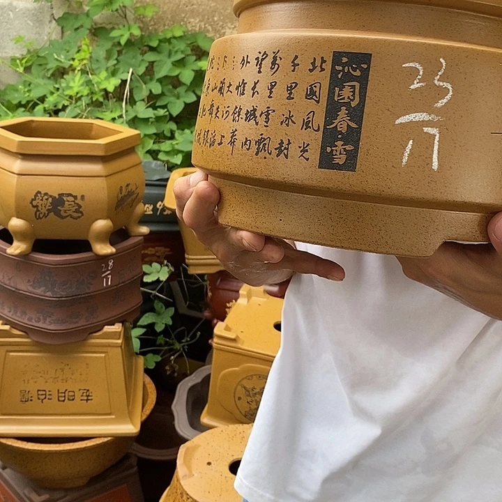 花盆紫砂你在我心里的时候我就