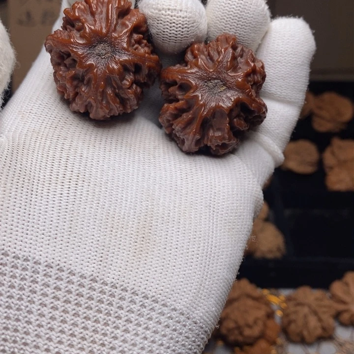 文玩核桃把件一*秦岭野生灯笼