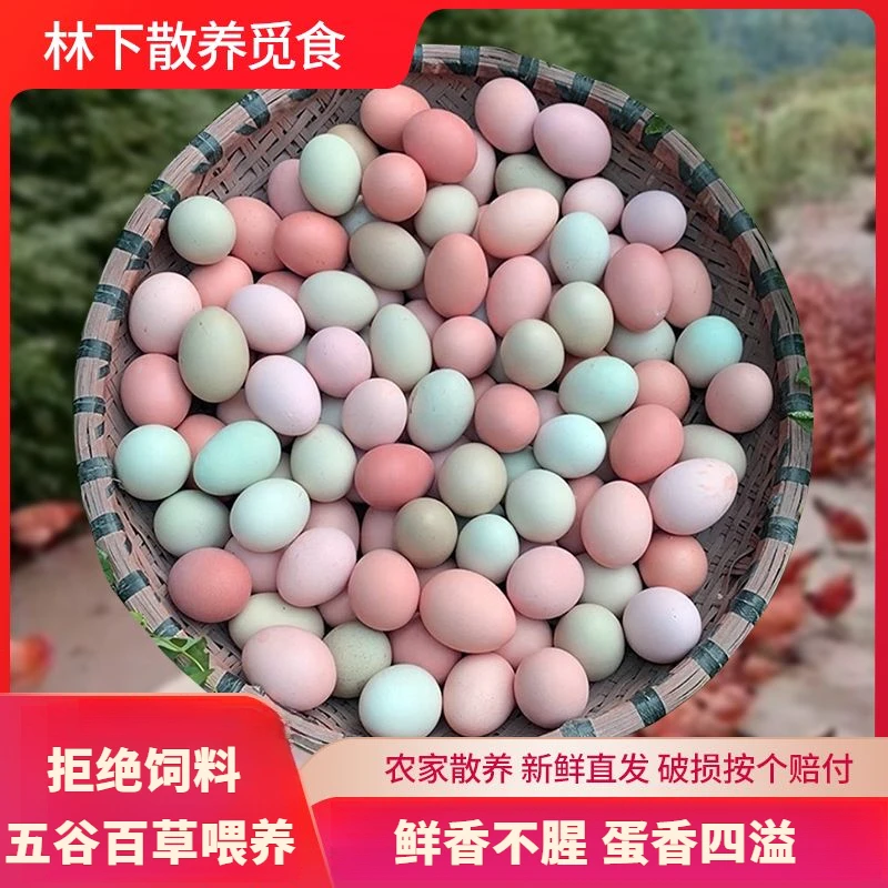 【混合装】正宗新鲜乌鸡蛋混合土鸡蛋绿壳农家散养非大个山林散养
