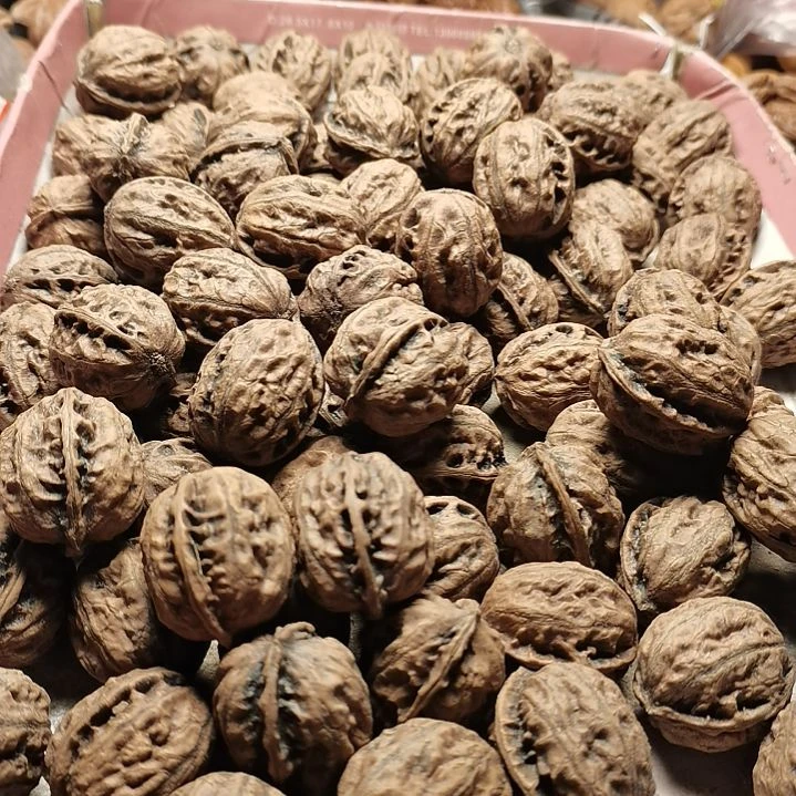 文玩核桃手串缥*东北秋子异型籽33