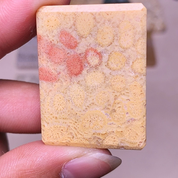 k***y硅化玉合金珊瑚玉