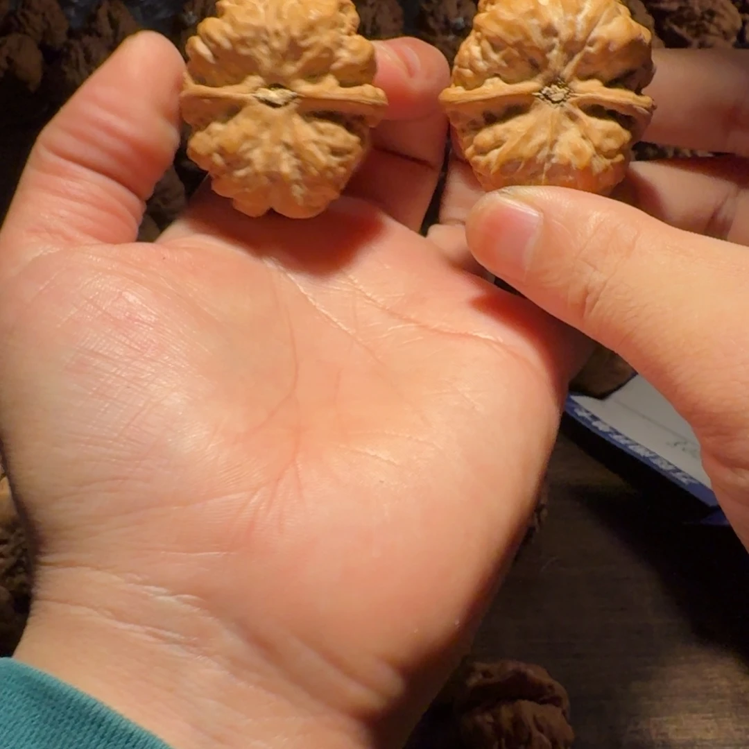 打***瓜吊坠文玩核桃蛤蟆的眼睛是真的好看啊我的天啊