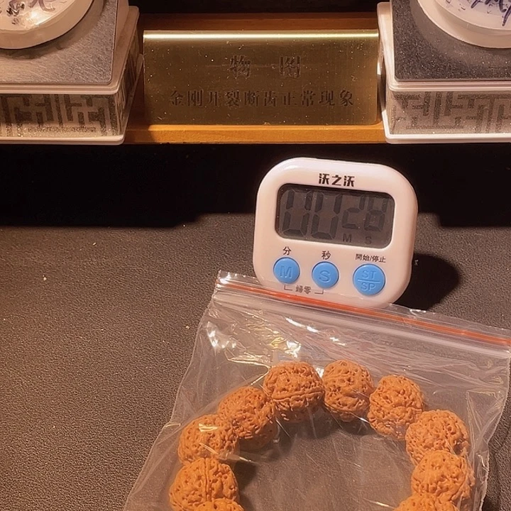 鹦***鸟金刚菩提手串金刚