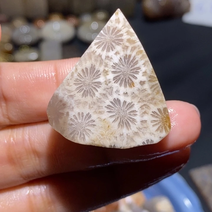 【闪购商品】未镶嵌珊瑚玉硅化玉包水滴