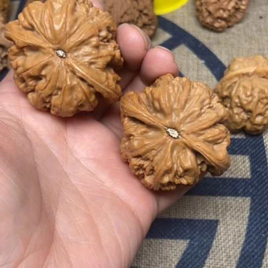 吊坠文玩核桃大粗筋