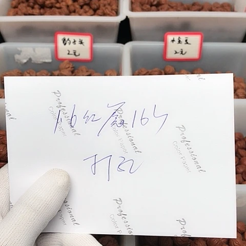 桃核吊坠跑*跑龙纹桃核的搭配