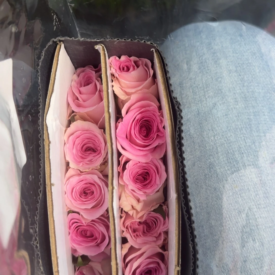 洛神8扎包邮秒杀价