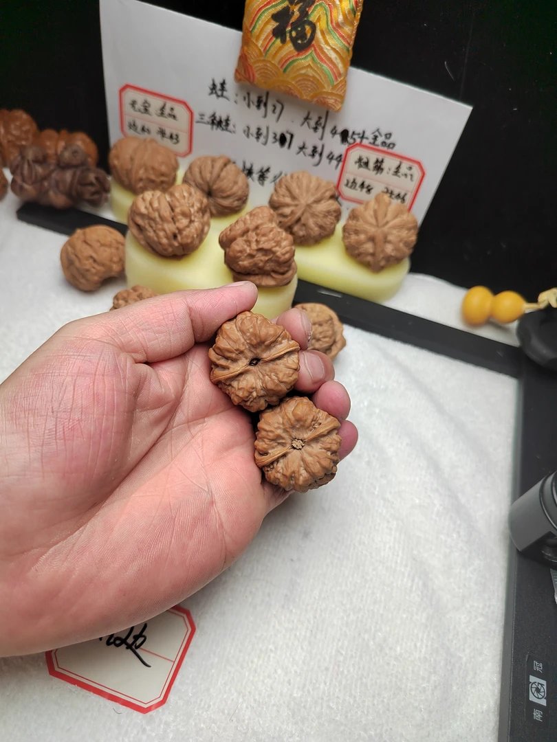 金蟾蛤蟆头文玩核桃