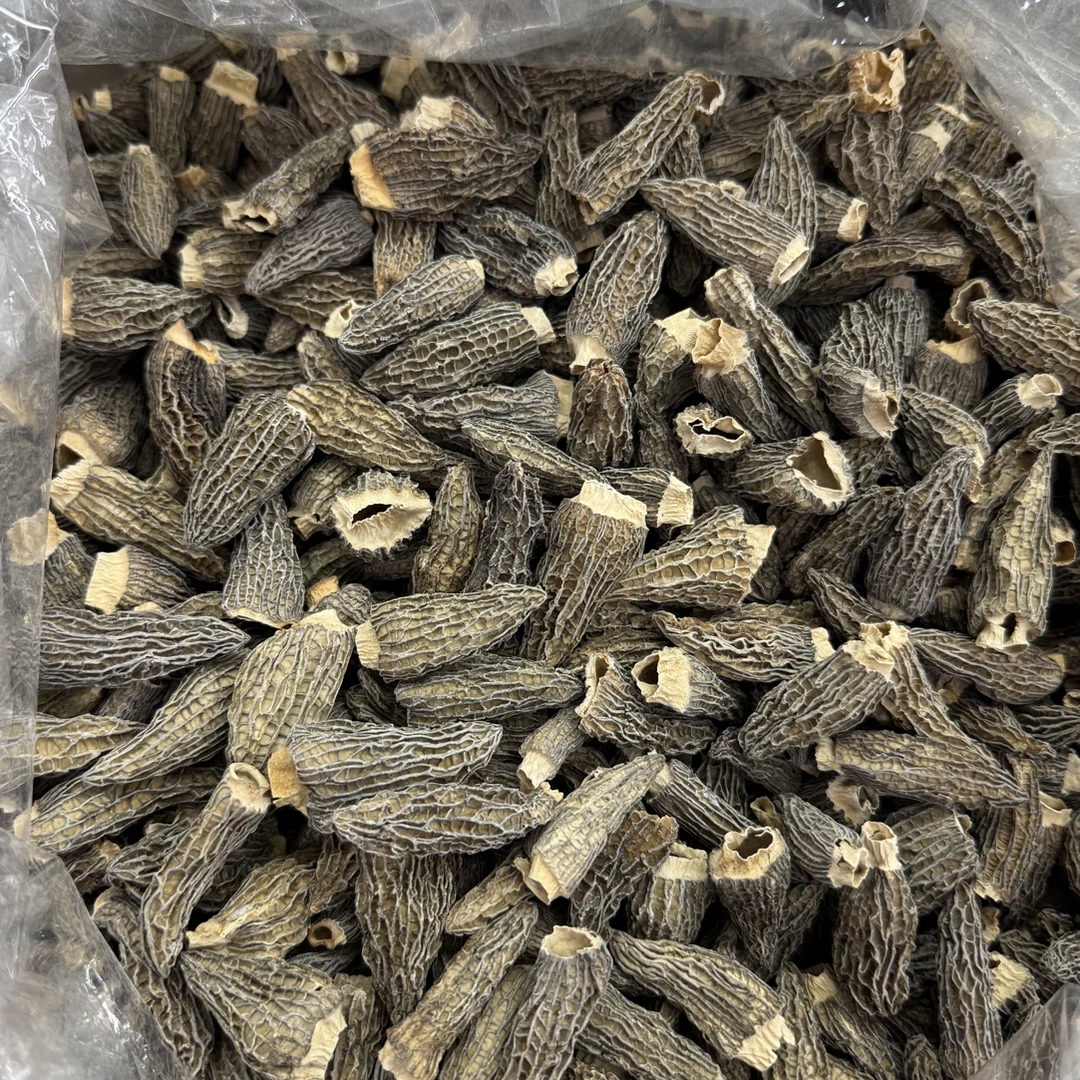 【粤西飞哥哥】精选无柄羊肚菌干货头茬肉厚煲汤食材炖汤营养菌菇