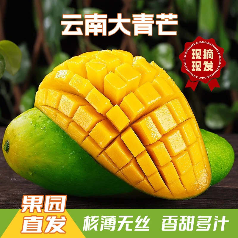 云南大青芒青皮金煌应季芒果软糯香甜新鲜热带水果