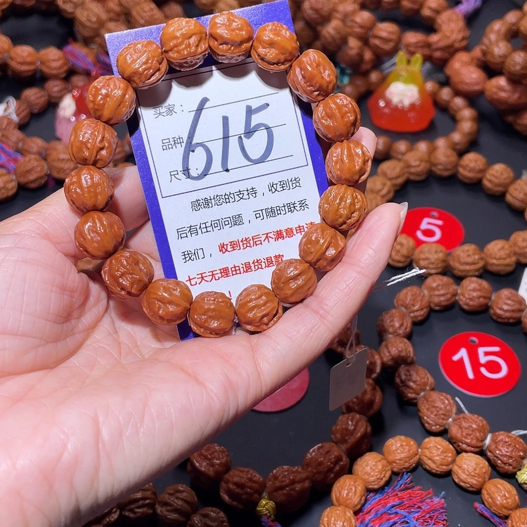 615秋子小赤龙龙脊京八棱14